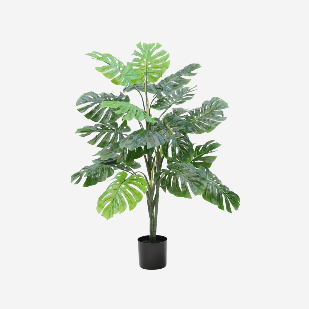 Modern Greenery | Phoenix Decor